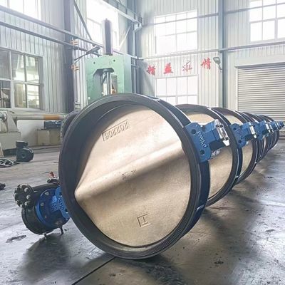 Handle Butterfly Valve Ductile Iron Manual Wafer Type Soft Seal Butterfly Valve DN50 100 150 200